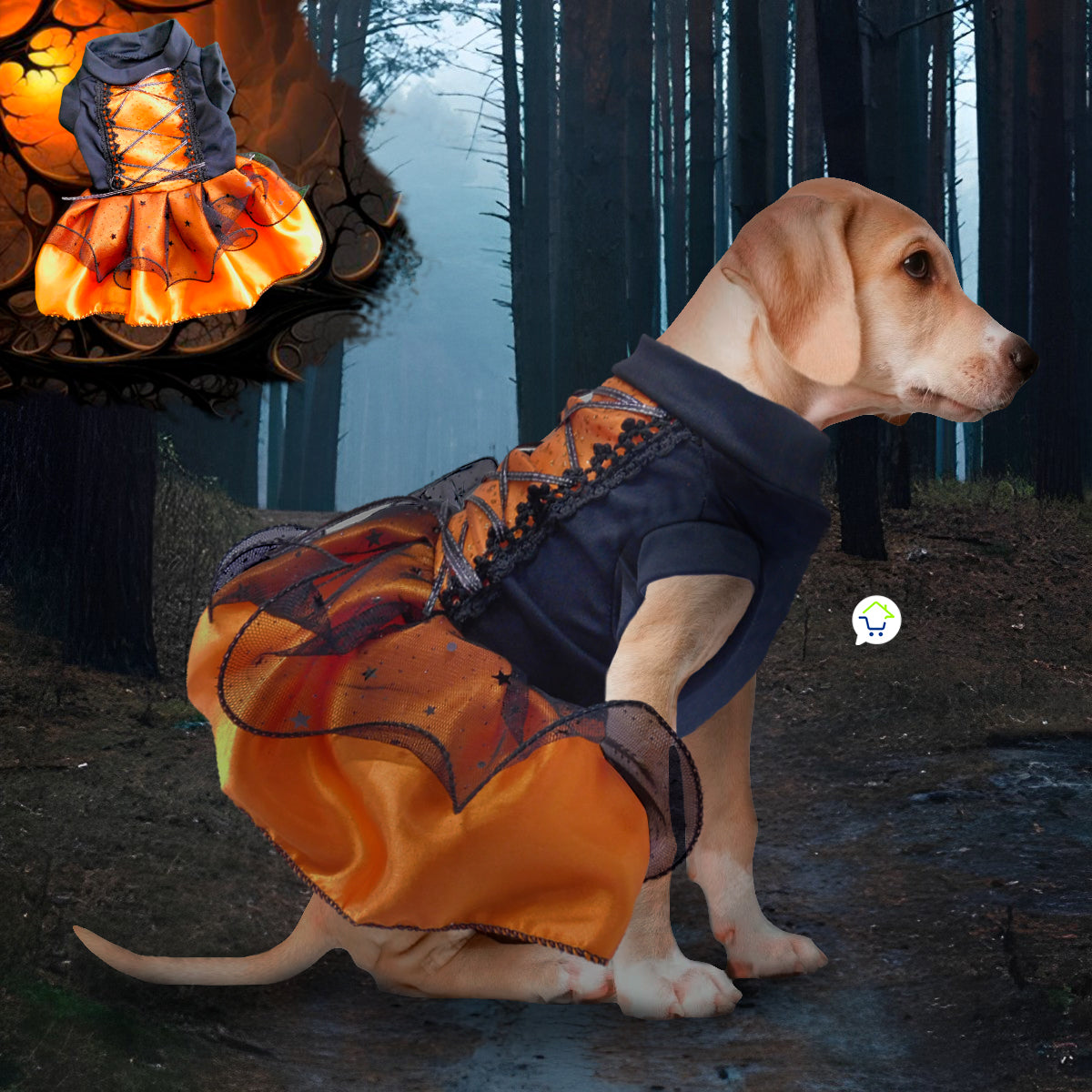 Disfraz Bruja Para Perro Gato Mascotas Halloween GD01BRUJN