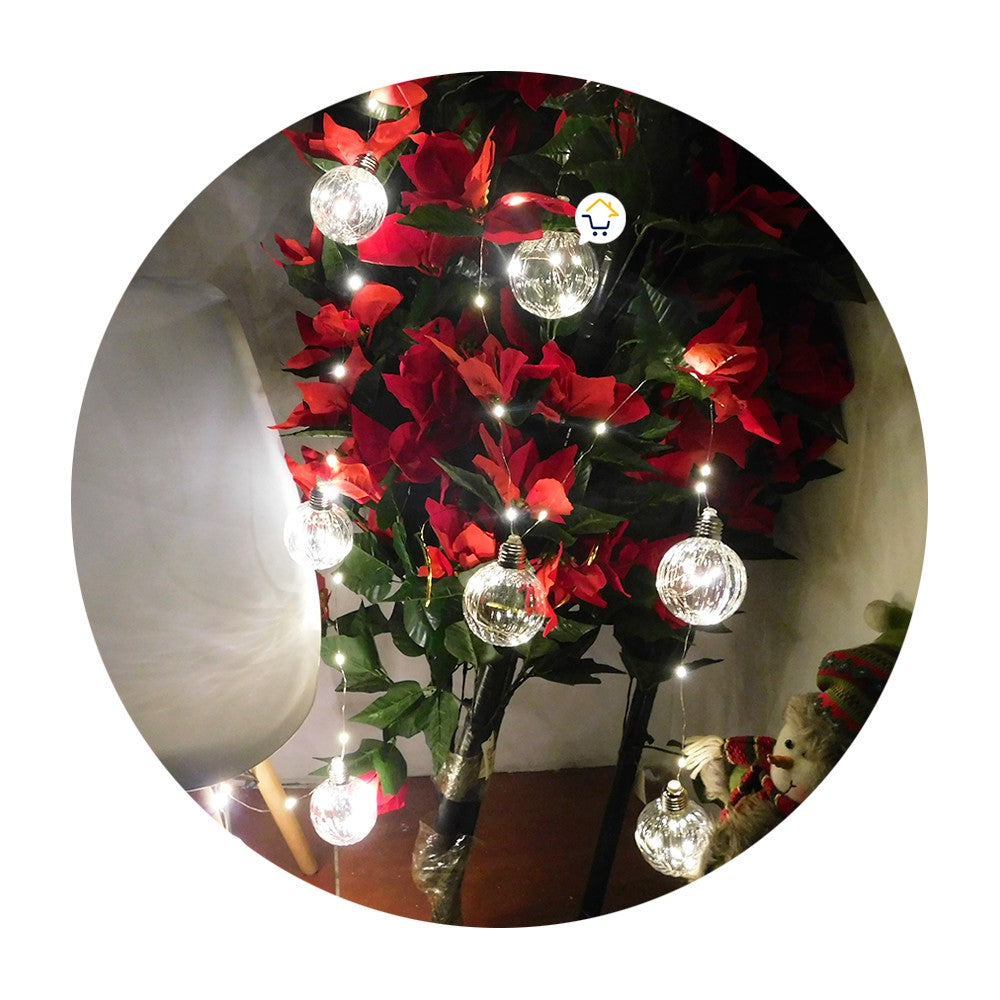 Luces Micro Led 3 M Burbuja X10 Bombillos Navidad JN34A