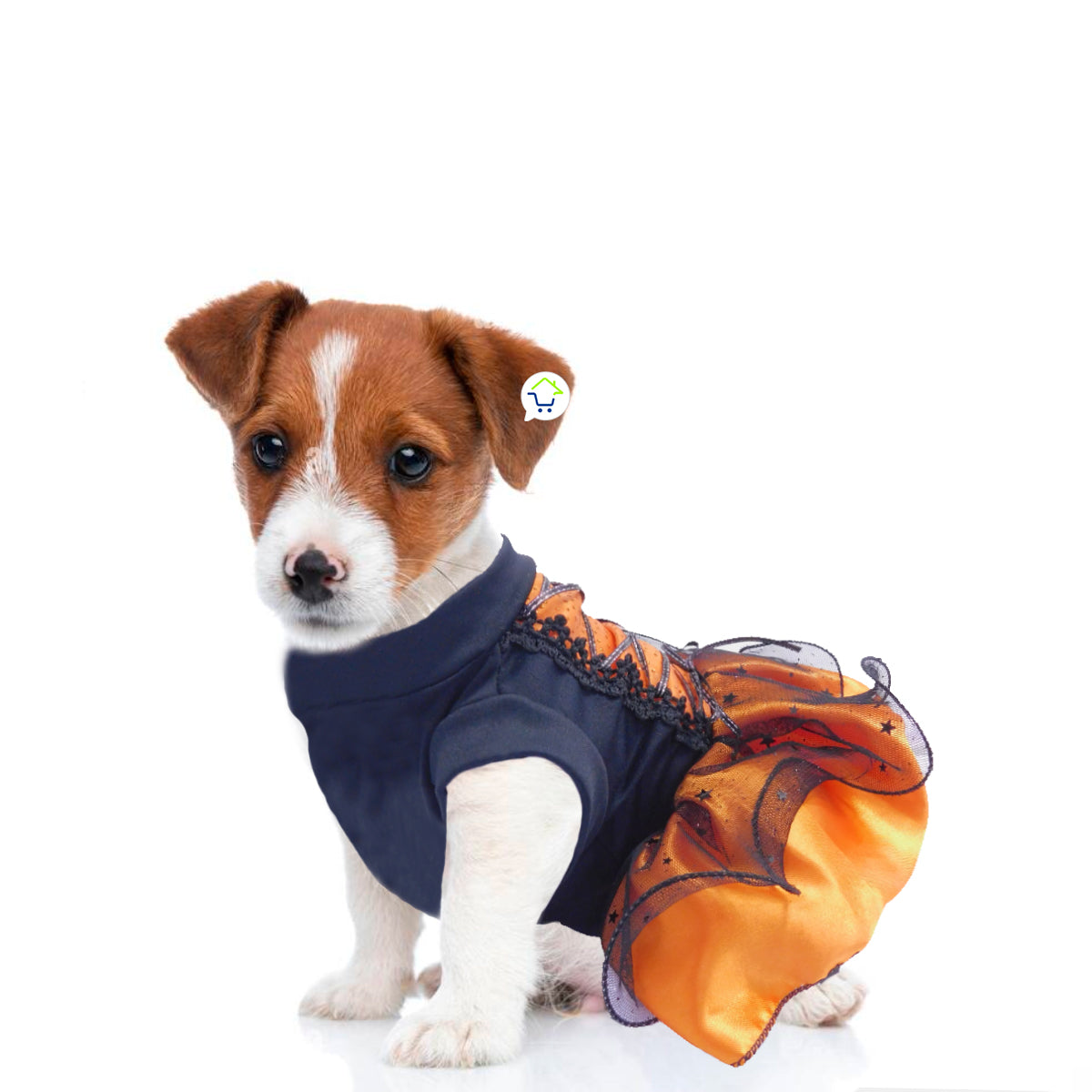 Disfraz Bruja Para Perro Gato Mascotas Halloween GD01BRUJN