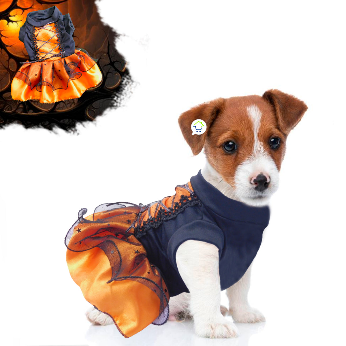 Disfraz Bruja Para Perro Gato Mascotas Halloween GD01BRUJN
