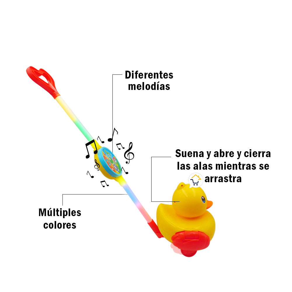 Andador De Arrastre Didáctico Sonajero Paseador Musical Luces D0330PA
