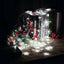 Luces Led Copos De Nieve 6 M Extensión Cortina Luz Navidad Blanco 2086B