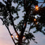 Extensión LED Bombillos x10 Vintage Luces Decoración LBN10N