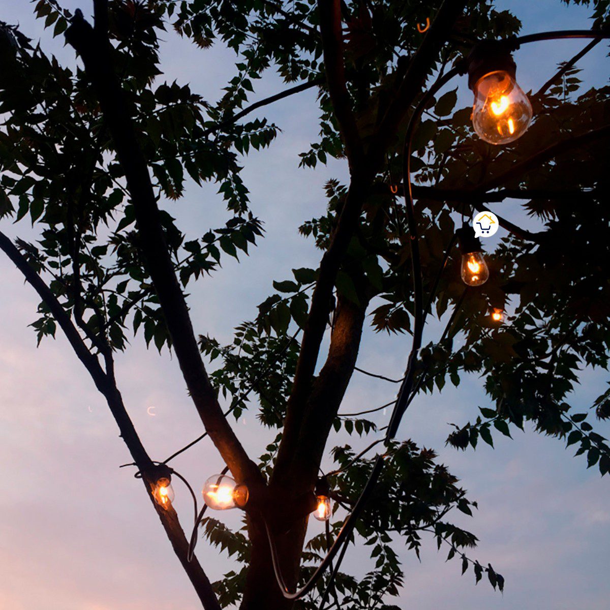 Extensión LED Bombillos x10 Vintage Luces Decoración LBN10N
