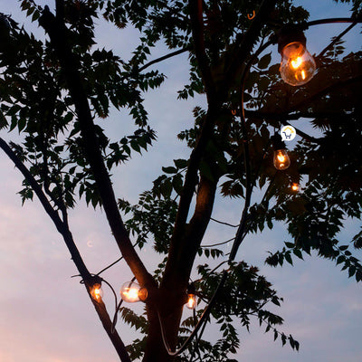 Extensión LED Bombillos x10 Vintage Luces Decoración LBN10N